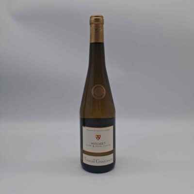 SRV-STIMPartageSesame7WindevOvitisFiches41_muscadetsurlie-1.jpg SRV-STIMPartageSesame7WindevOvitisFiches41_muscadetsurlie-1.jpg