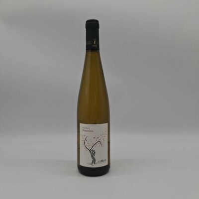 CSesame7WindevOvitisFiches471_pinotgris-4-1-1.jpg CSesame7WindevOvitisFiches471_pinotgris-4-1-1.jpg