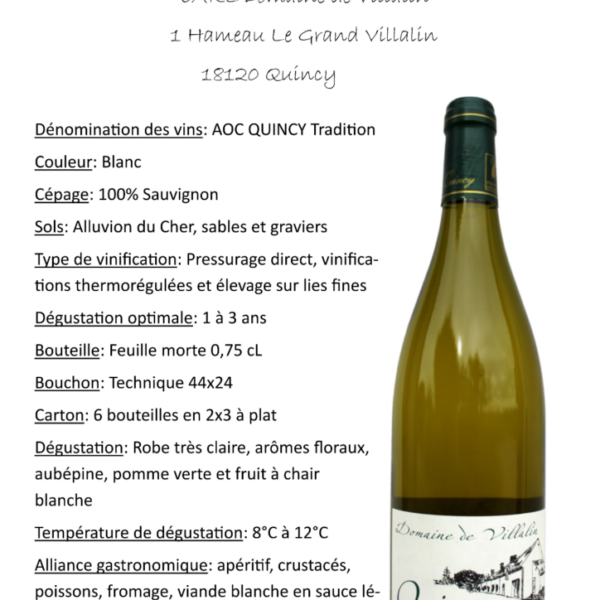AOP Quincy Blanc Domaine le Vilalin 75cl X 6