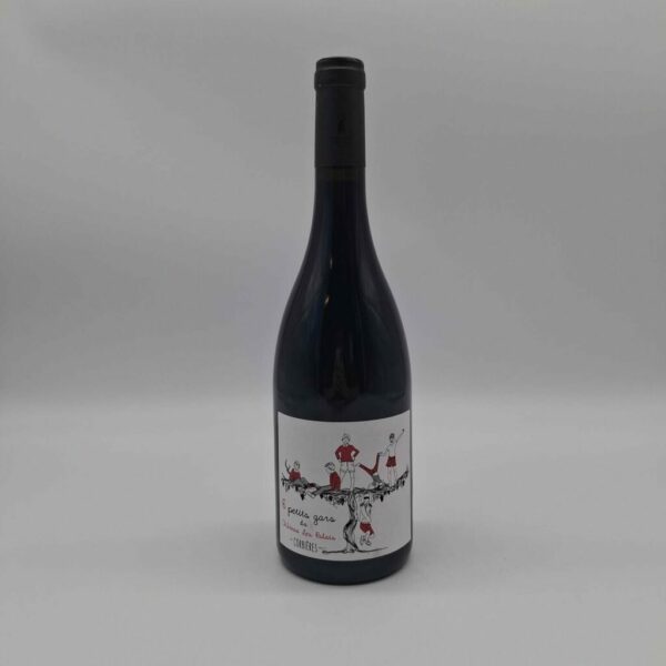 Corbières Château le Palais les 6 petits gars rouge 750ml. X 6