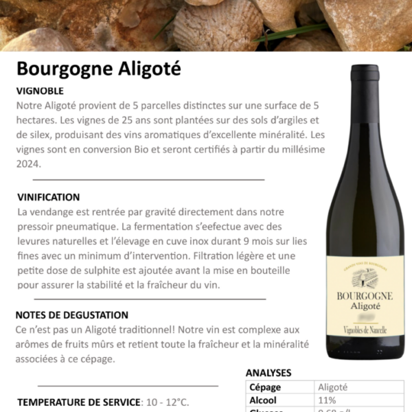AOP Bourgogne Aligoté, Nancelle, blanc, 375ml