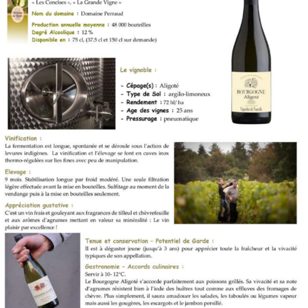 AOP Bourgogne Aligoté Vignoble Nancelle Blanc 750ml X 6