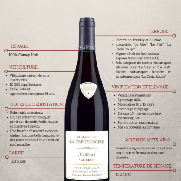 AOP Julienas Loic Martin Bouteilles 750ml X 6