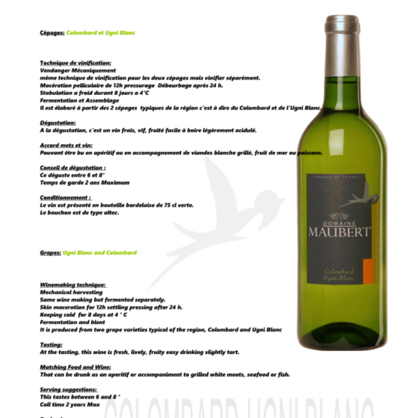 Colombard Ugni-blanc Domaine de Maubert IGP Côtes de Gascogne 750ml X 6
