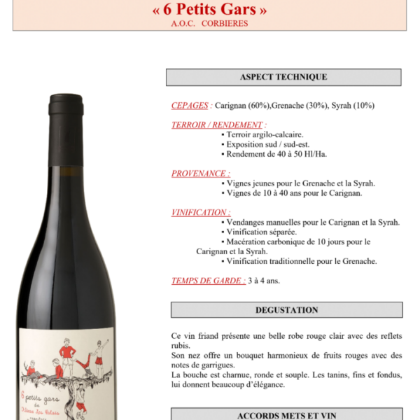 Corbières Château le Palais les 6 petits gars rouge 750ml. X 6