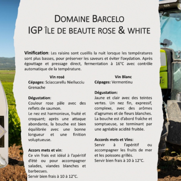 Barcelo Rosé IGP Ile de Beauté 750ml X 6