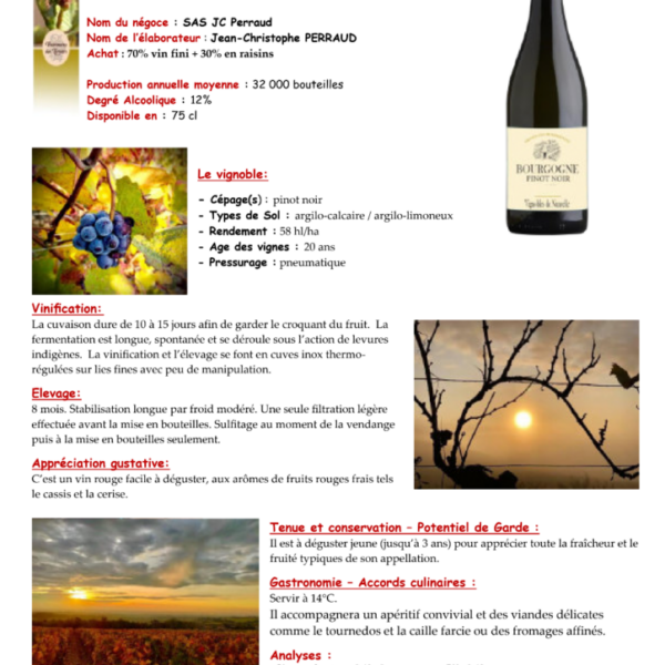 AOP Bourgogne Pinot Noir Vignoble Nancelle 750ml X 6
