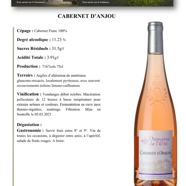 Cabernet d'Anjou Domaine de l'Eté 750ml. X 6