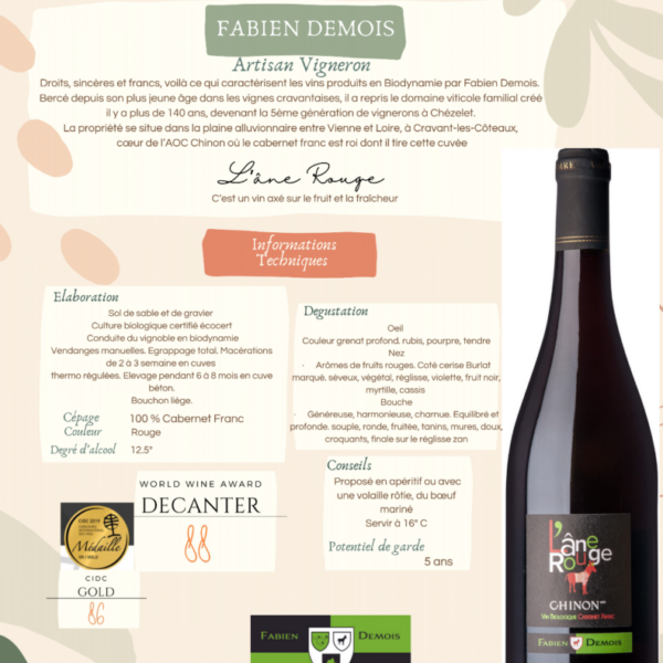 AOP Chinon Domaine Demois Chezelet BIO rouge 750ml X 6